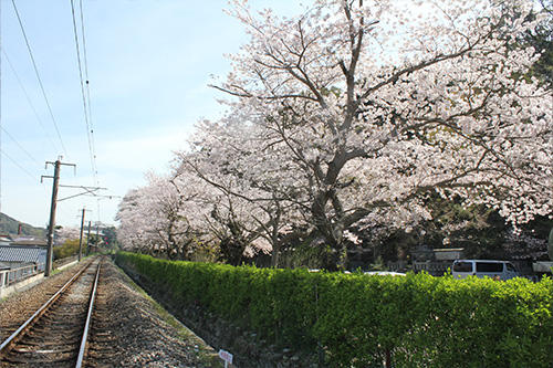 陶山神社